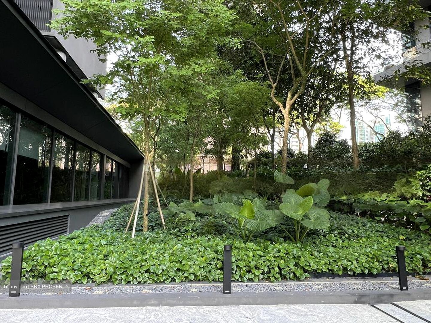 Cuscaden Reserve (D10), Condominium #626264271